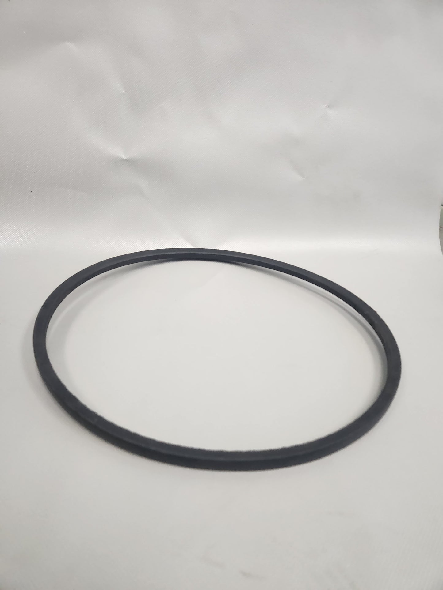 SW100 Belt